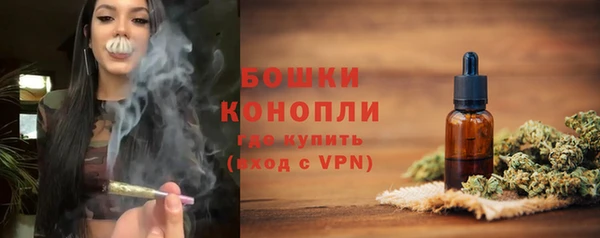 Альфа ПВП Ельня