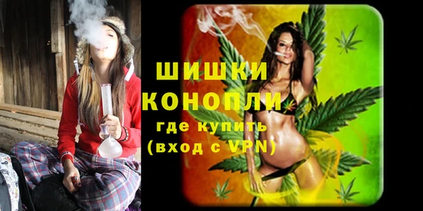 ПСИЛОЦИБИНОВЫЕ ГРИБЫ Елабуга