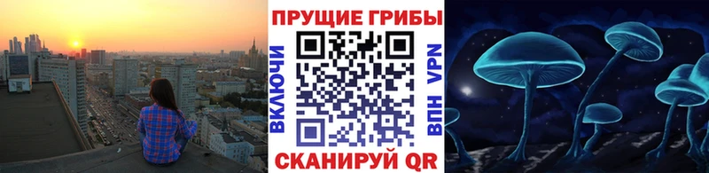 закладка  Кандалакша  Галлюциногенные грибы ЛСД 